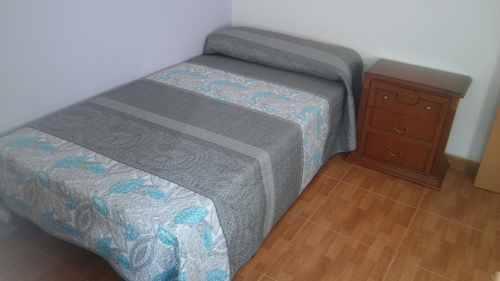 Kolokasie Valladolid 173983