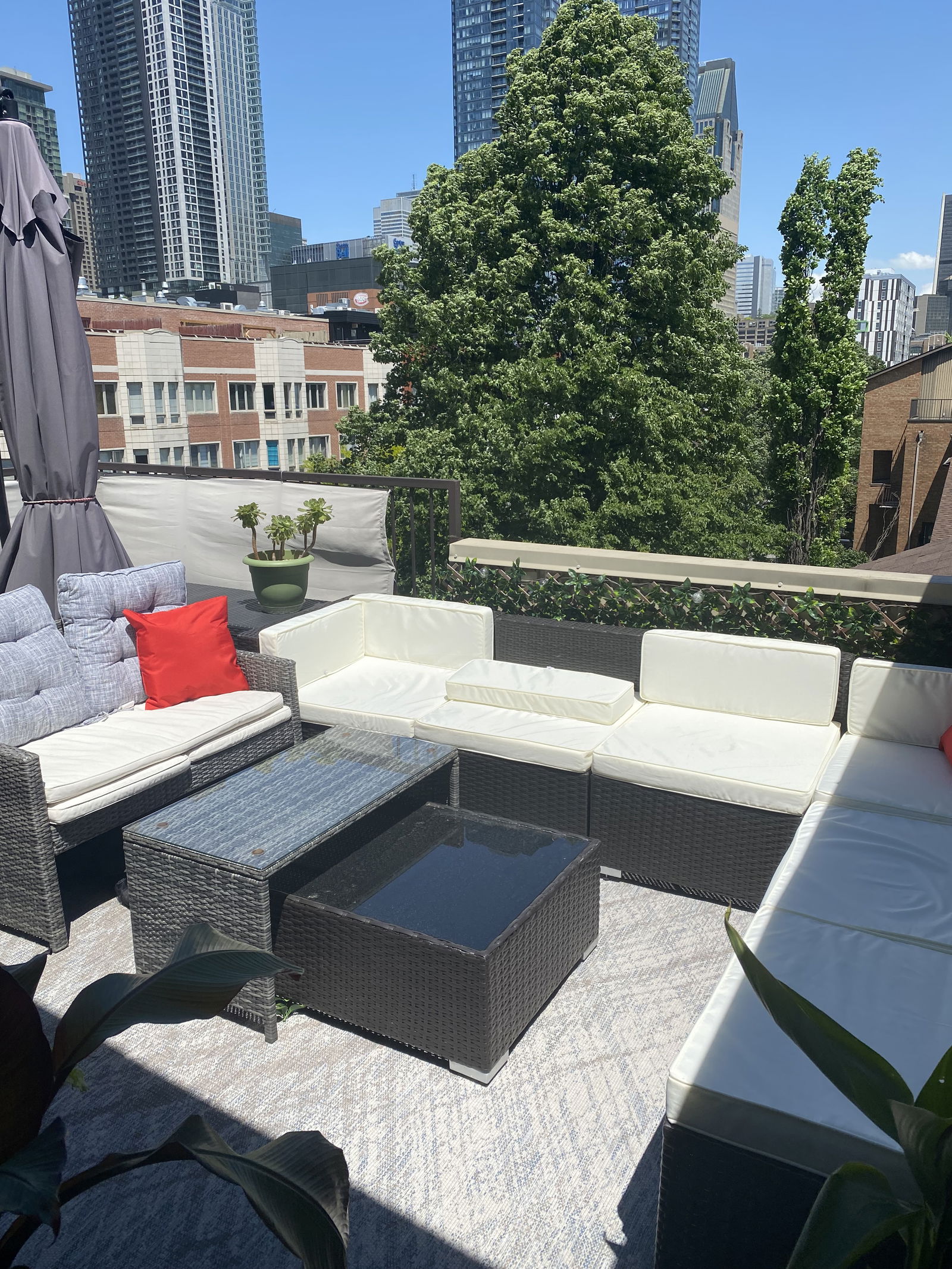Homestay Montréal 483264