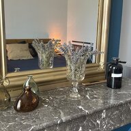 Gastenkamers Soussans 433599