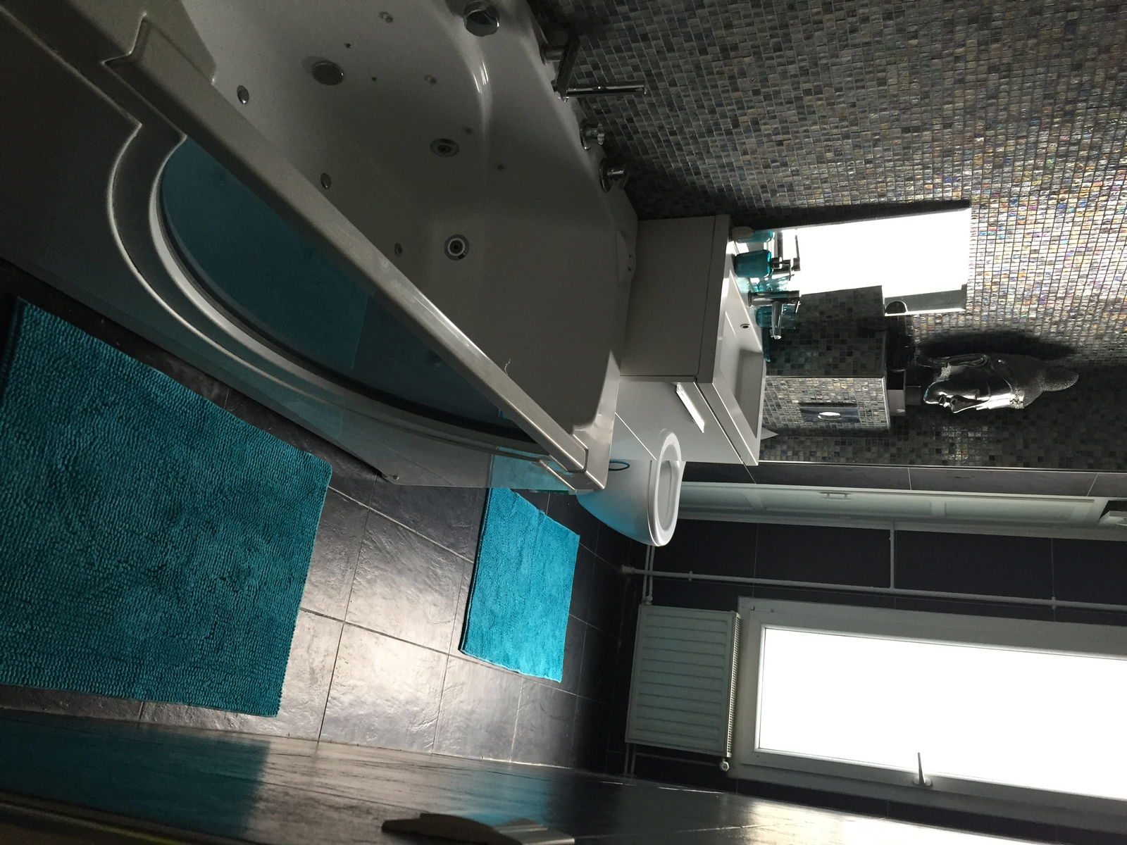 Colocatie Saint-Mandé 141565