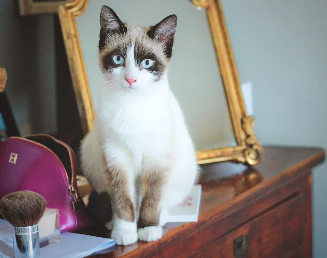 Gastgezin Bordeaux 226592