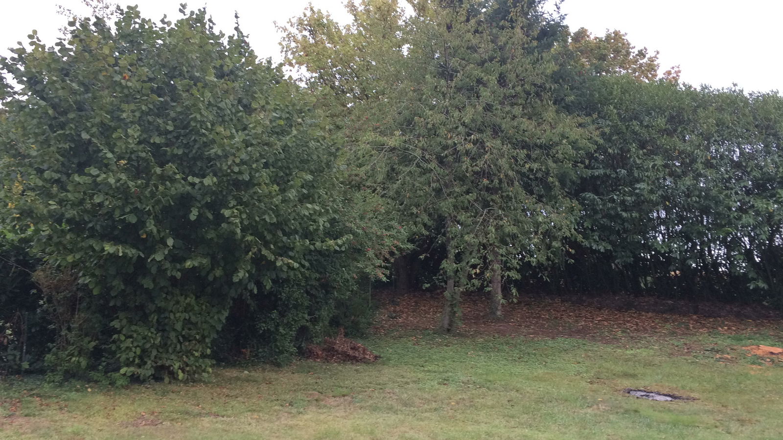 Gastgezin Blois 119929