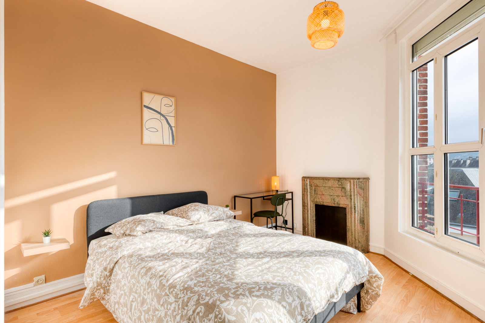 Colocation Rouen 513069