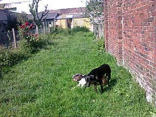 Colocation Lille 125168