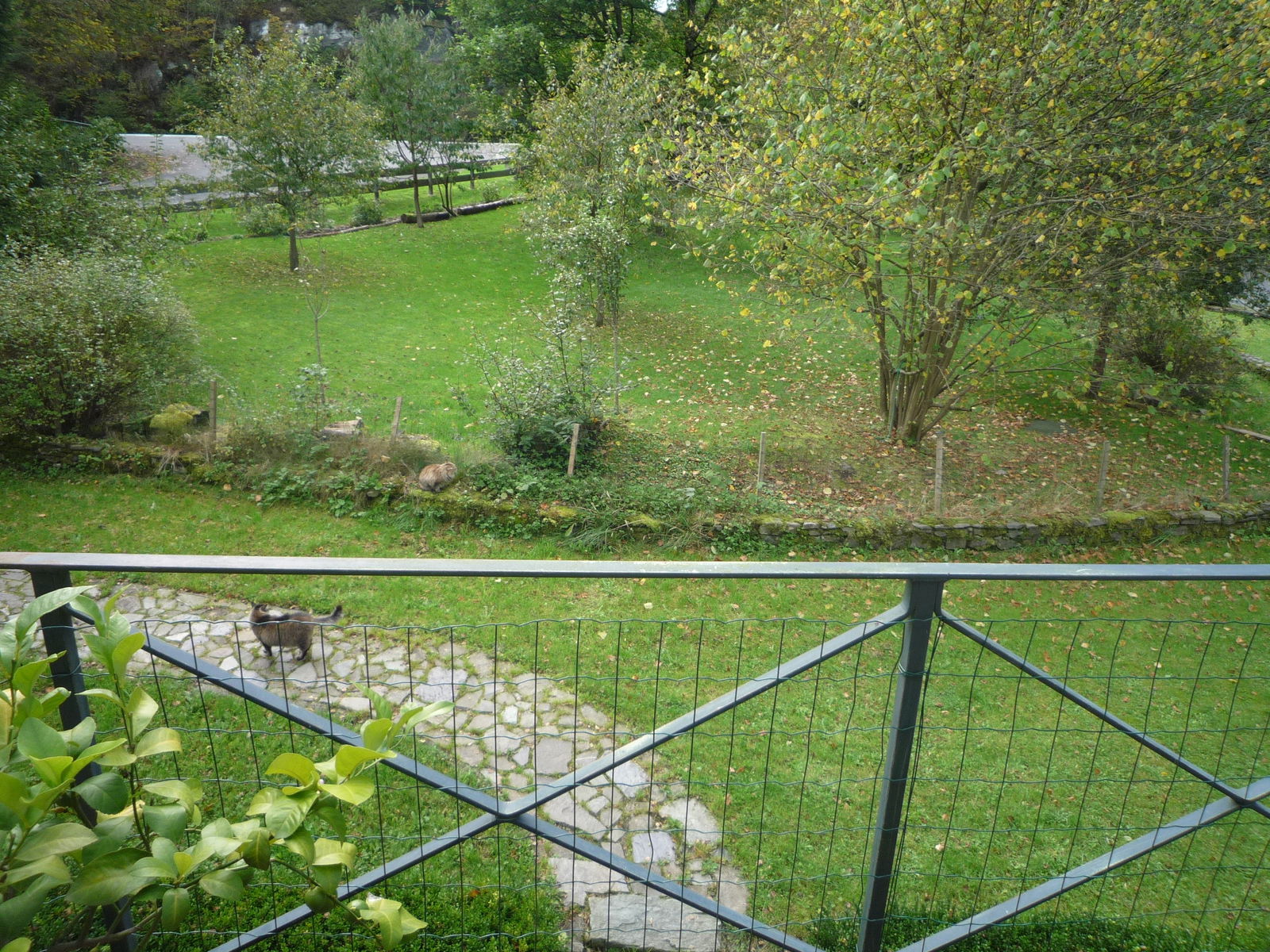 Hemvistelse Libin 6567