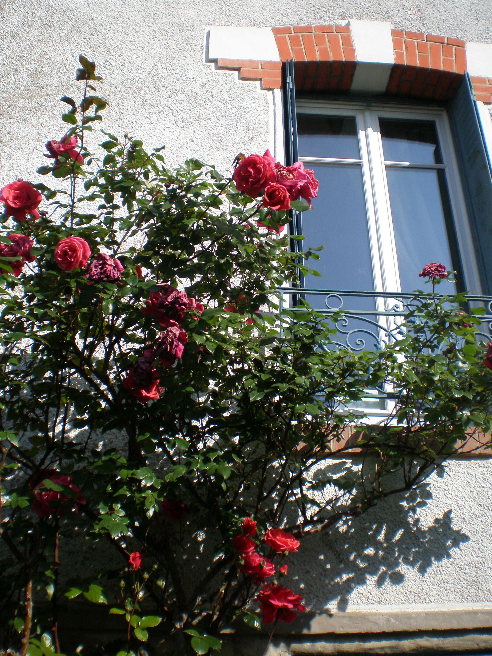 Hemvistelse Conflans-Sainte-Honorine 87295