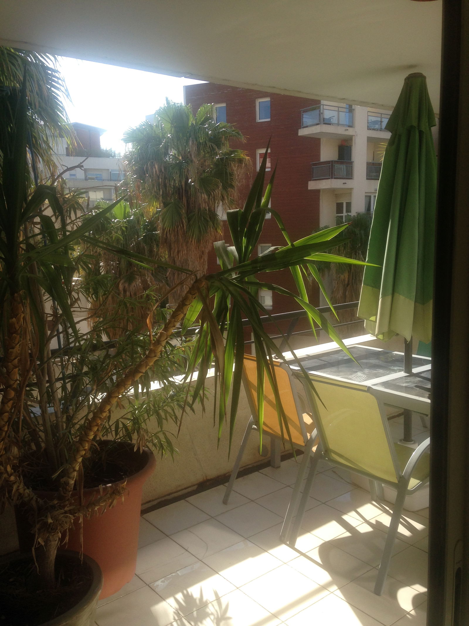 Hemvistelse Montpellier 131691