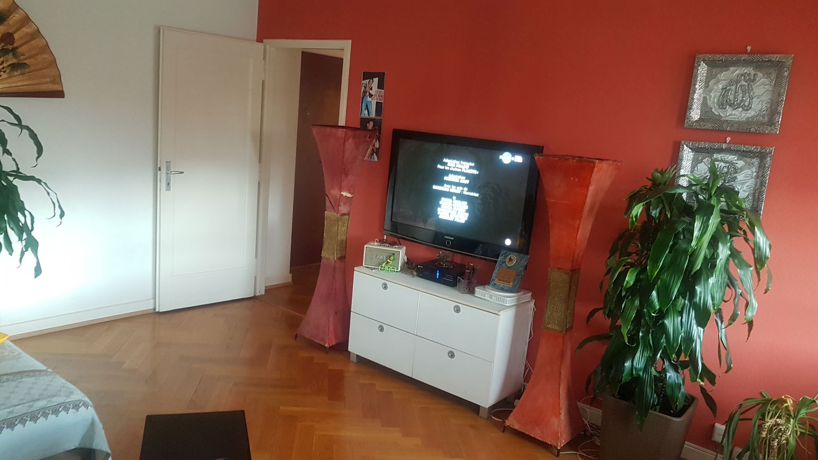 Colocation Carouge 248248