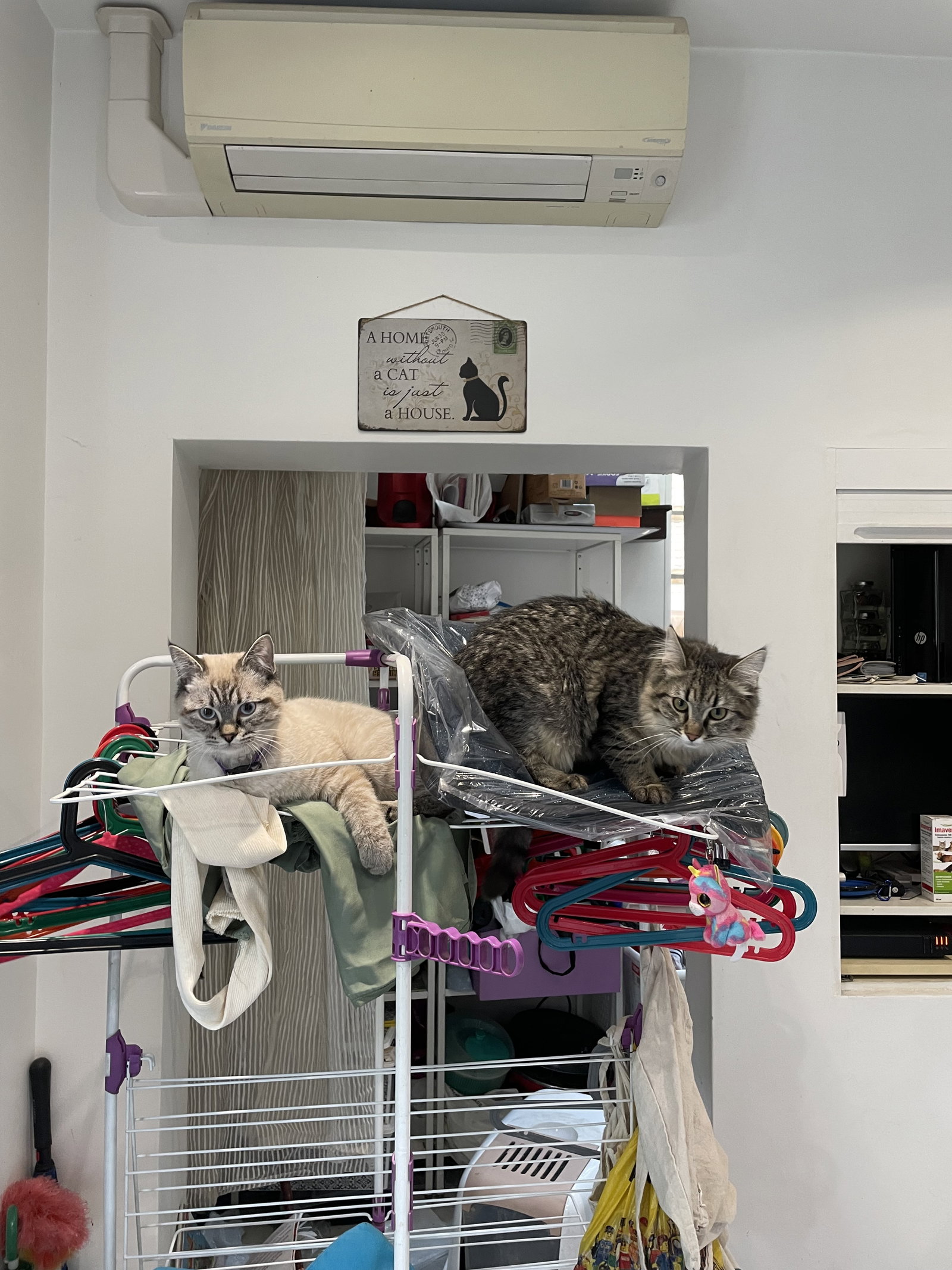 Hemvistelse Maisons-Alfort 408079