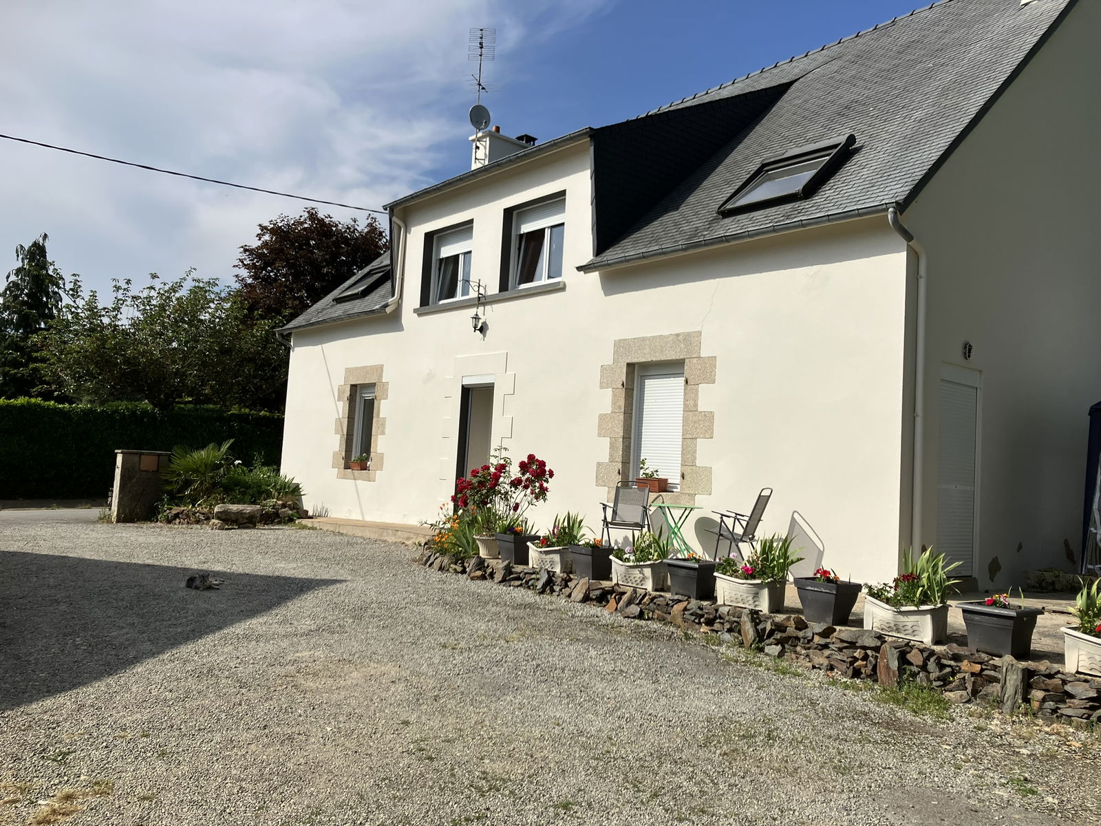 Hemvistelse Rohan 423842