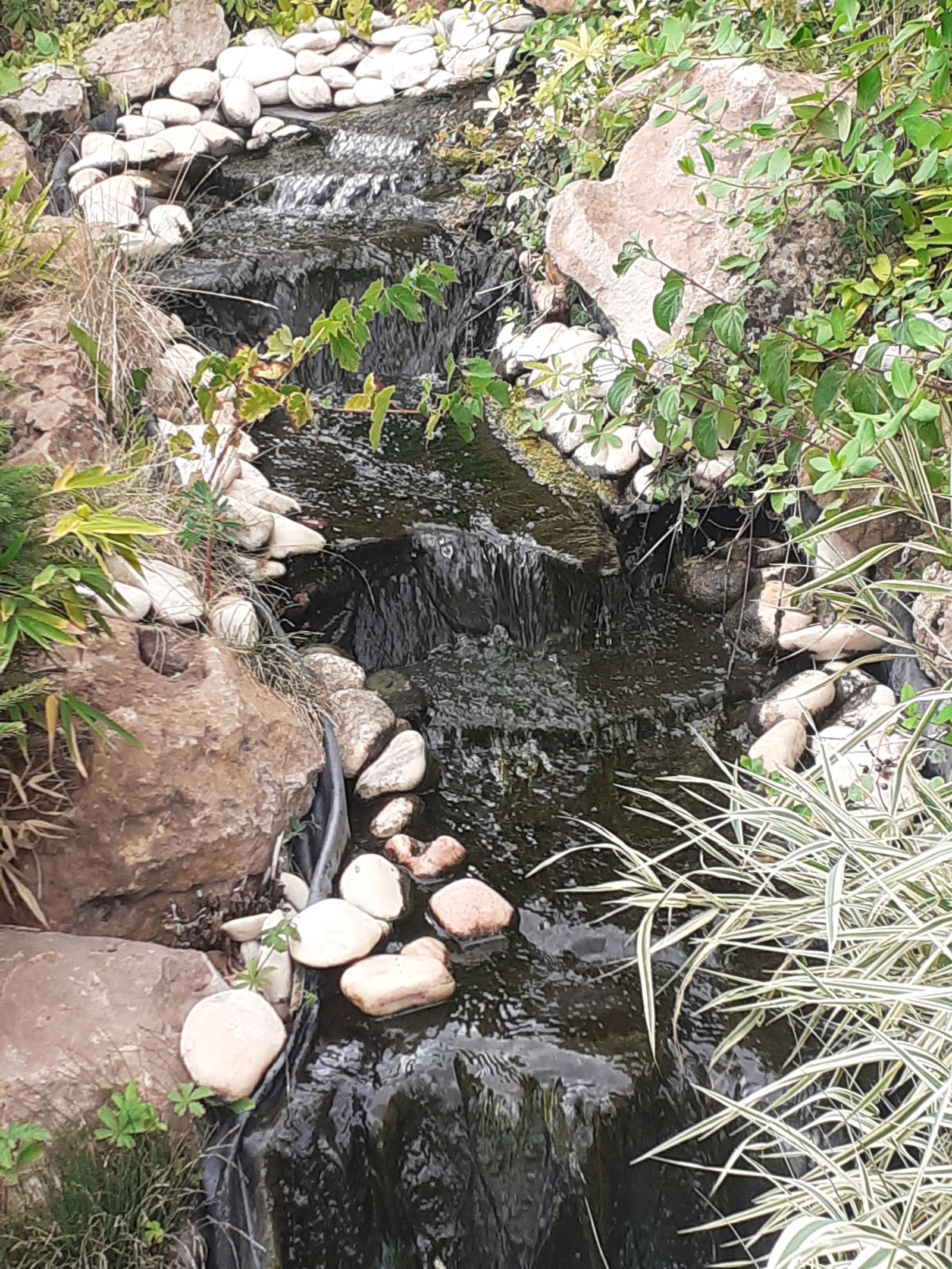 Gästrum Villeblevin 565606