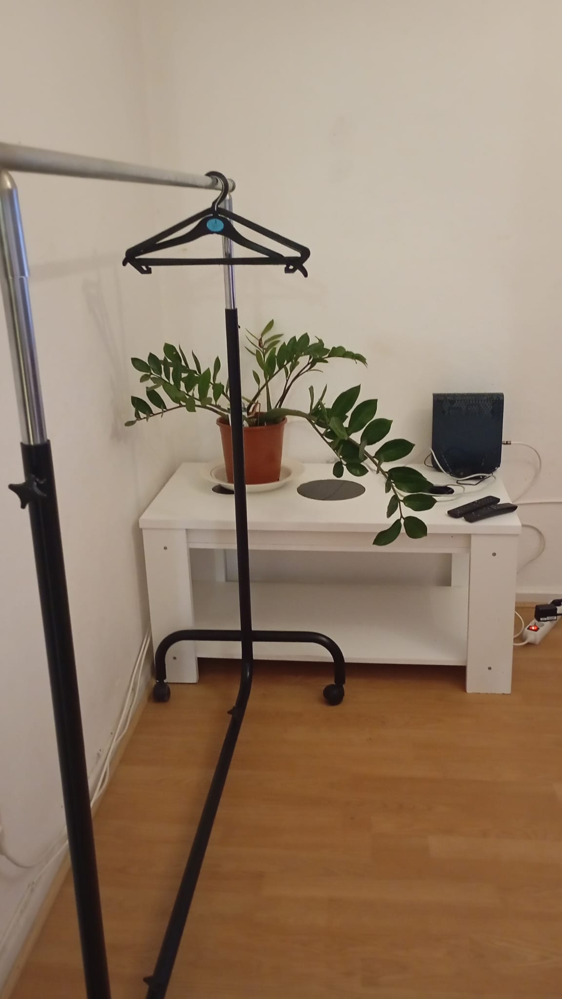 Homestay Paris 667812