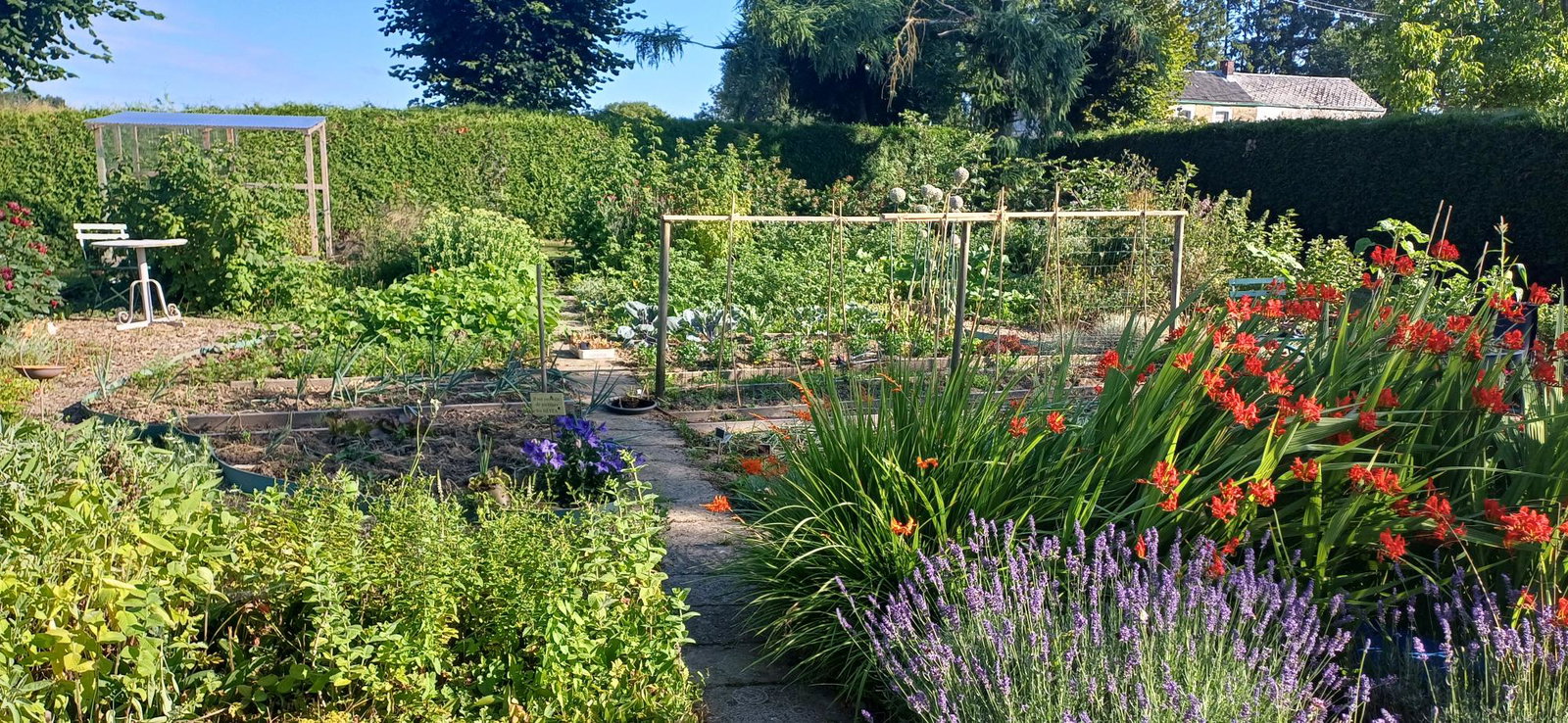 Hemvistelse Ouffet 540623