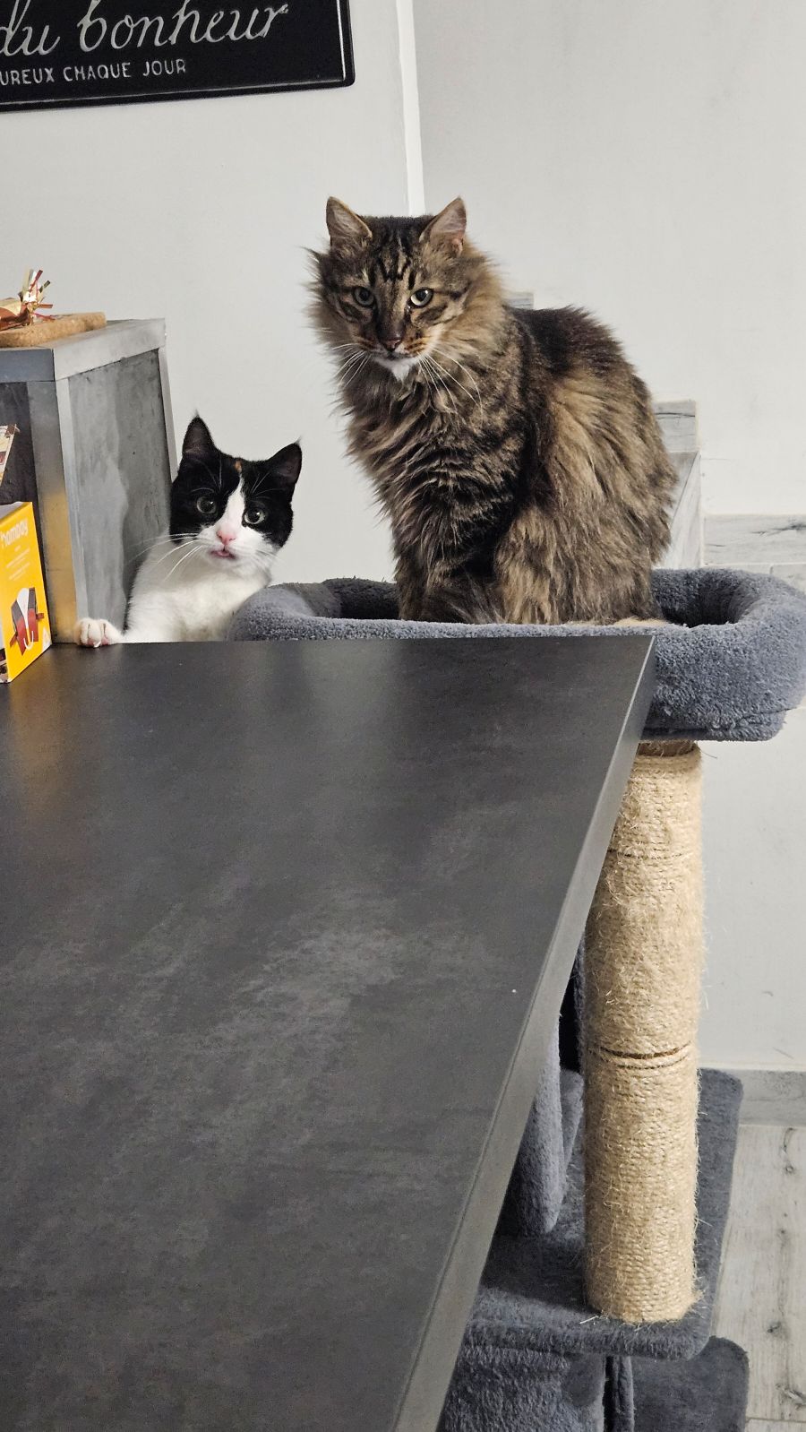 Hemvistelse Marseille 478322