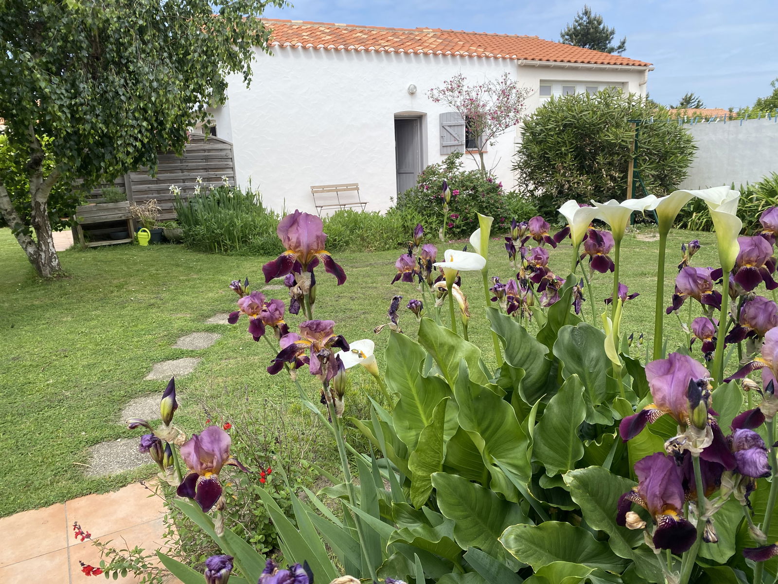 Hemvistelse Saint-Hilaire-de-Riez 657757