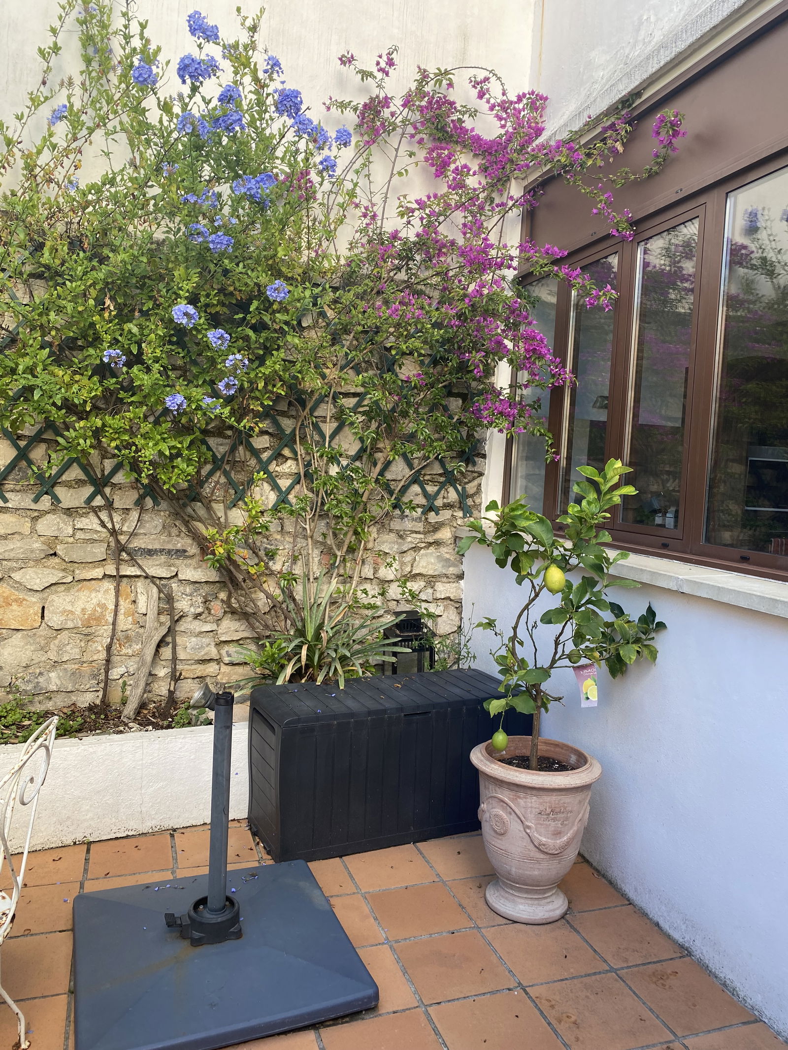 Hemvistelse Biarritz 392580