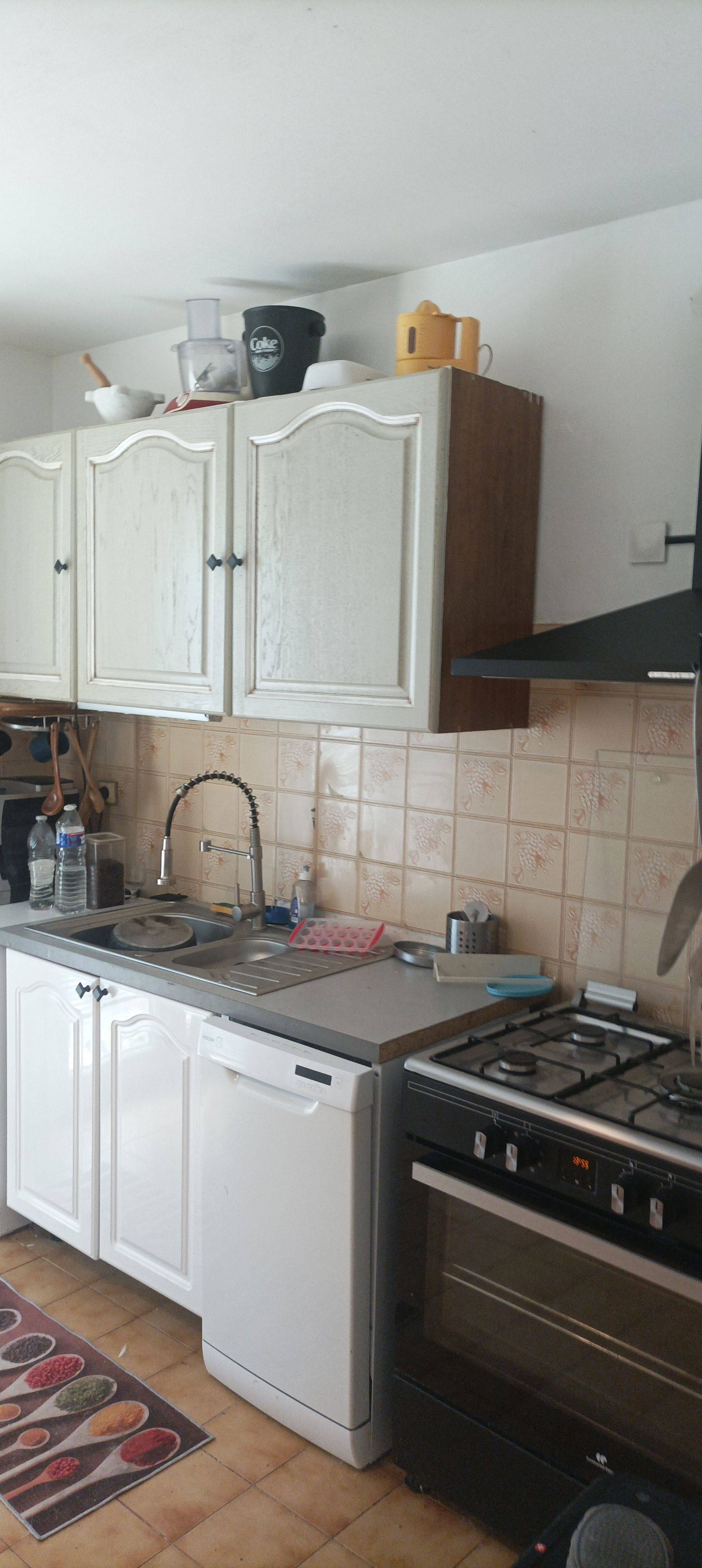 Colocation Villeneuve-Loubet 425154