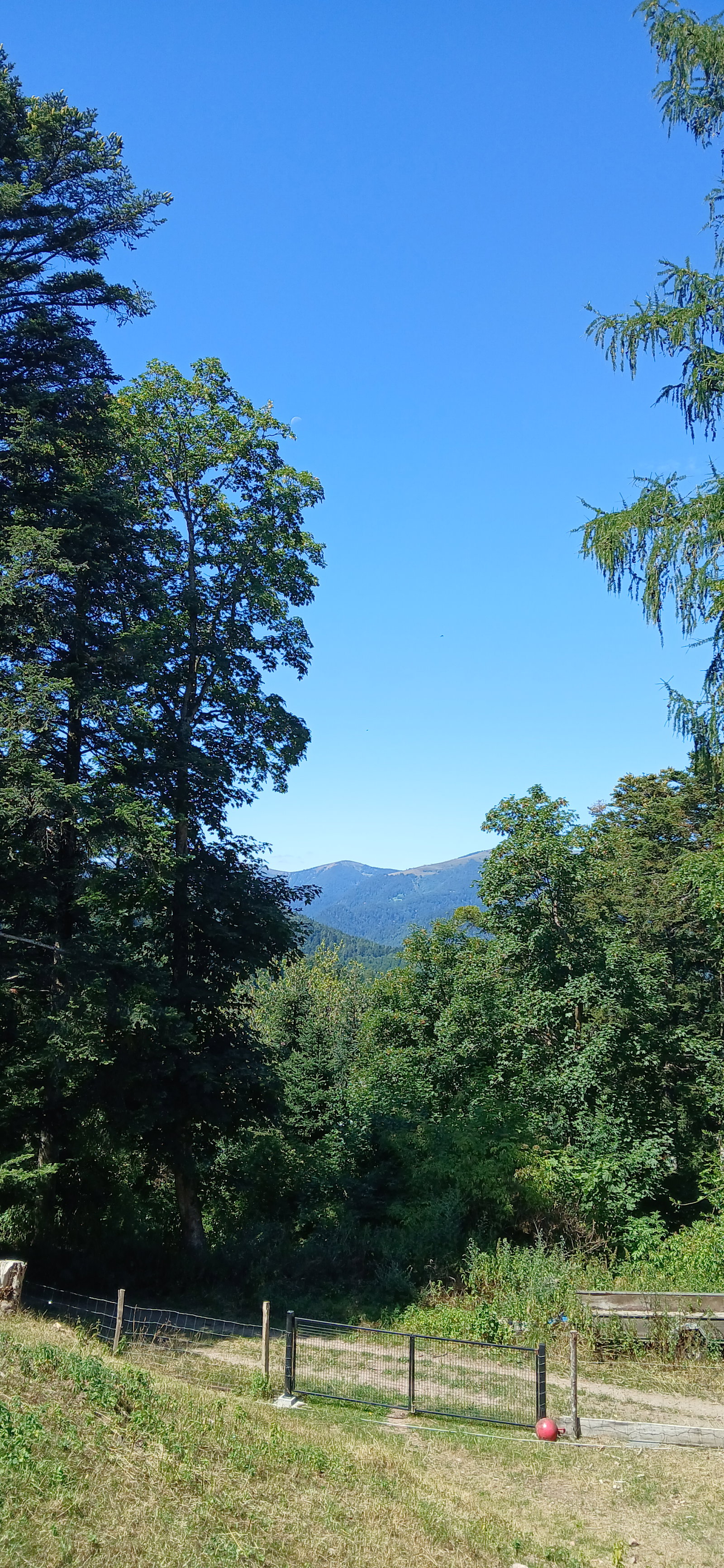 Hemvistelse Breitenbach-Haut-Rhin 473548