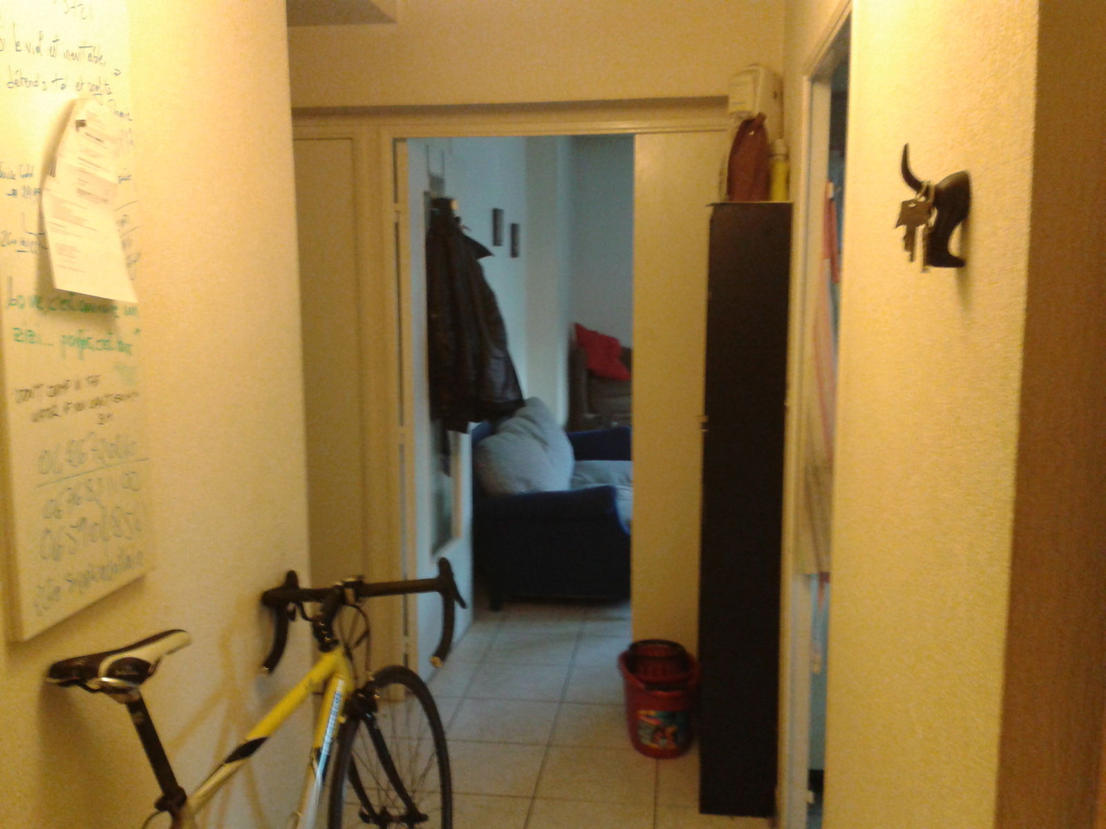 Colocation Villeurbanne 68457