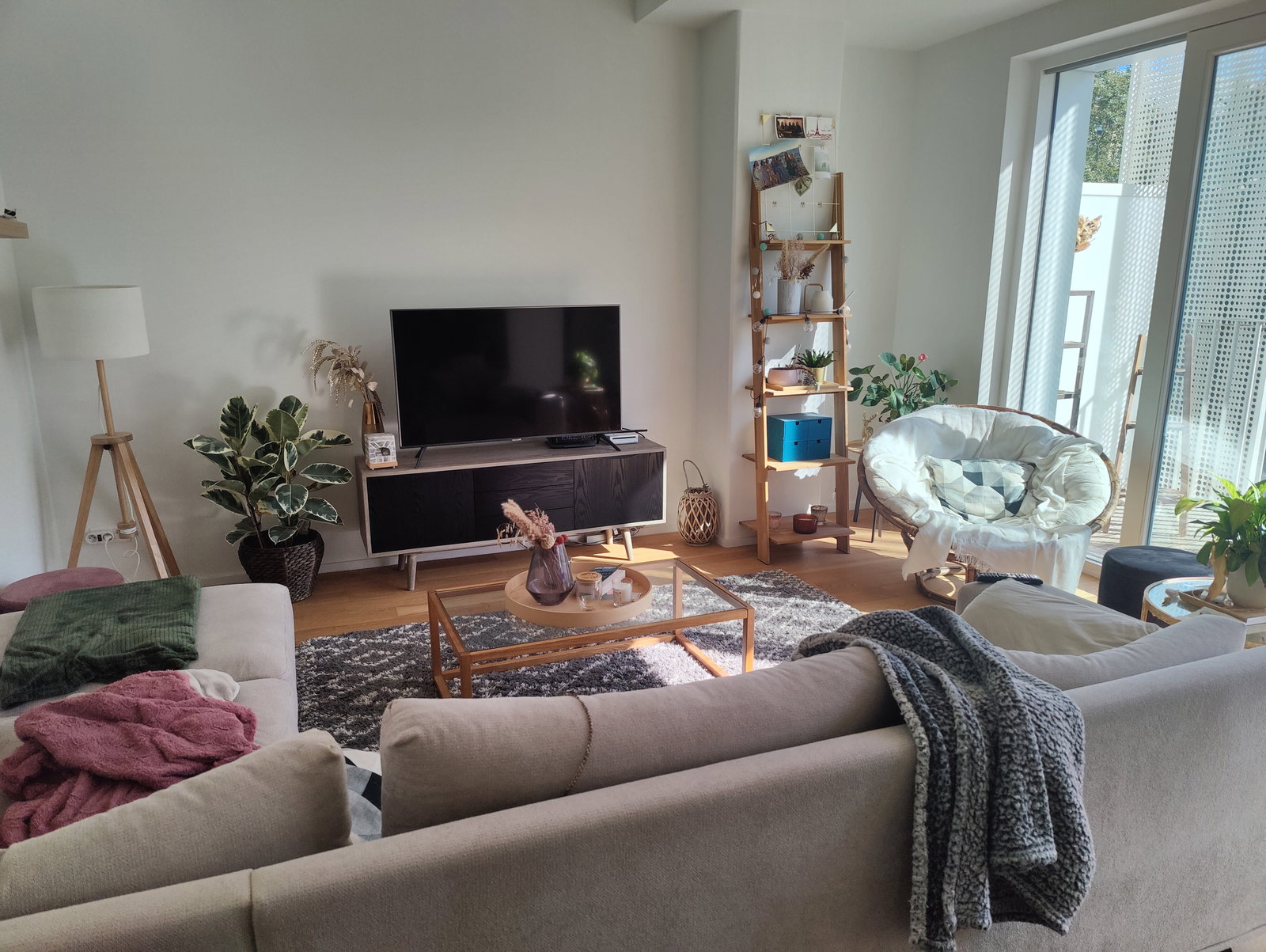 Colocation Evere 647226