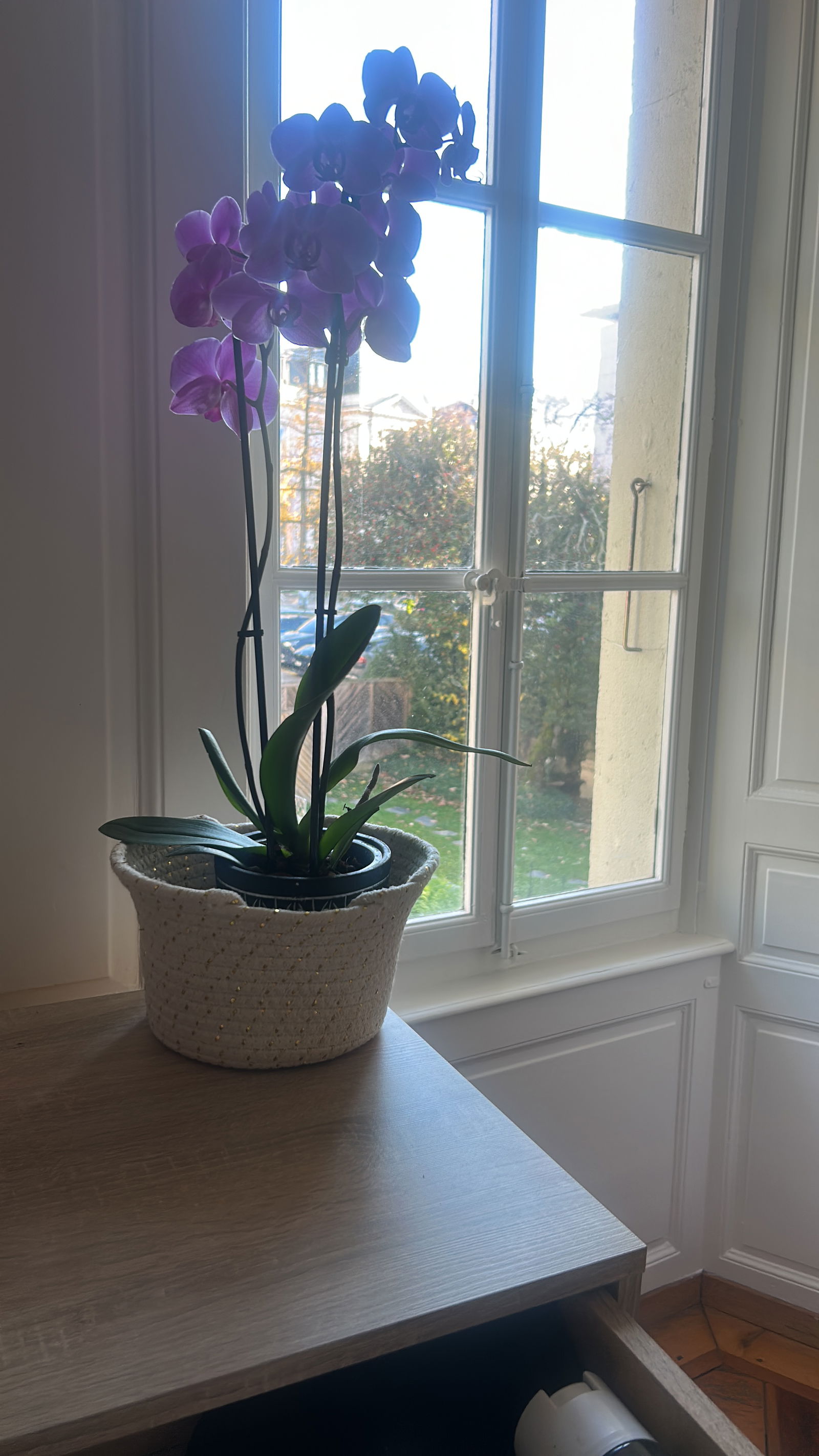 Hemvistelse Vevey 656192