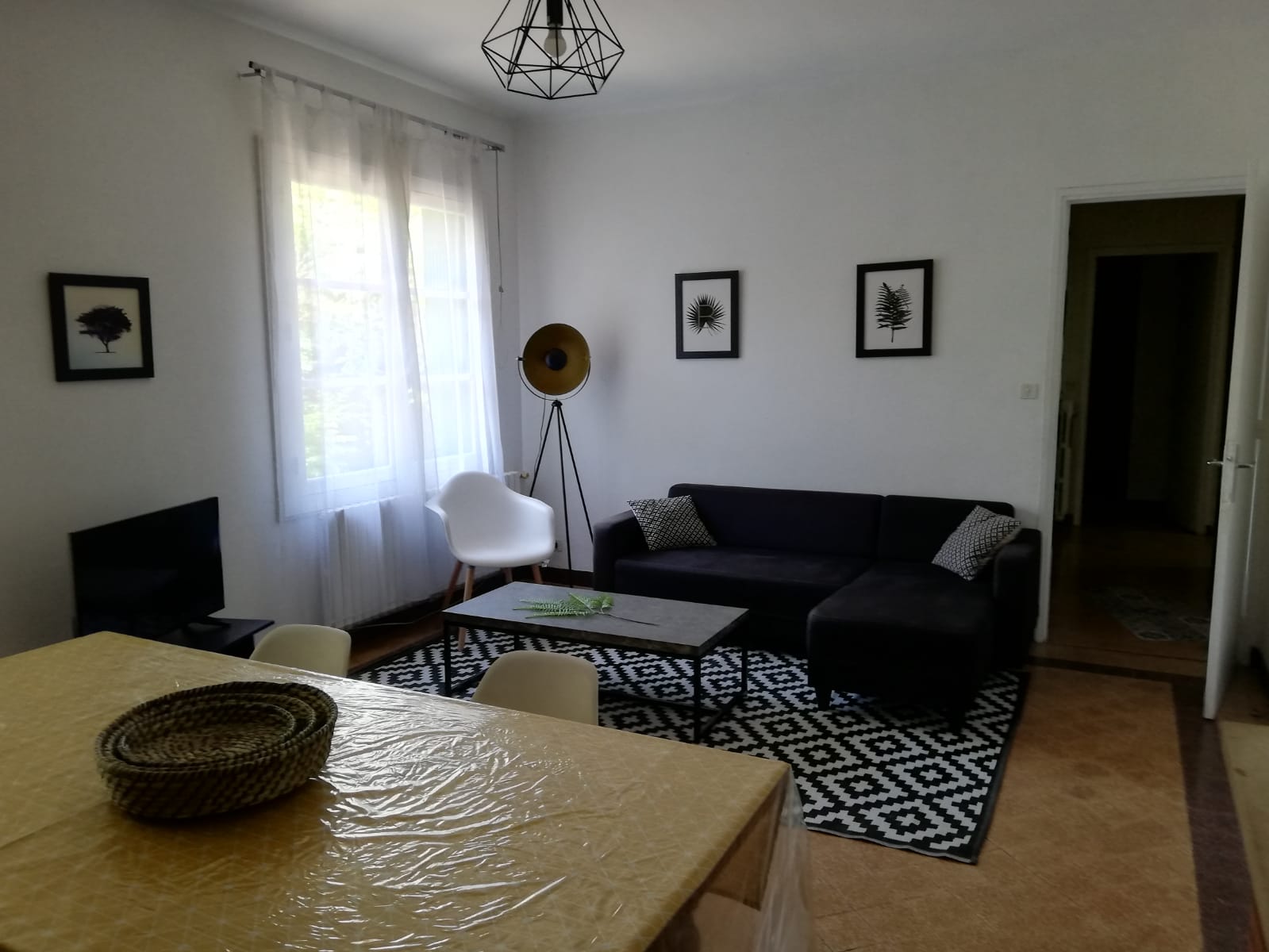 Colocation Montpellier 546447