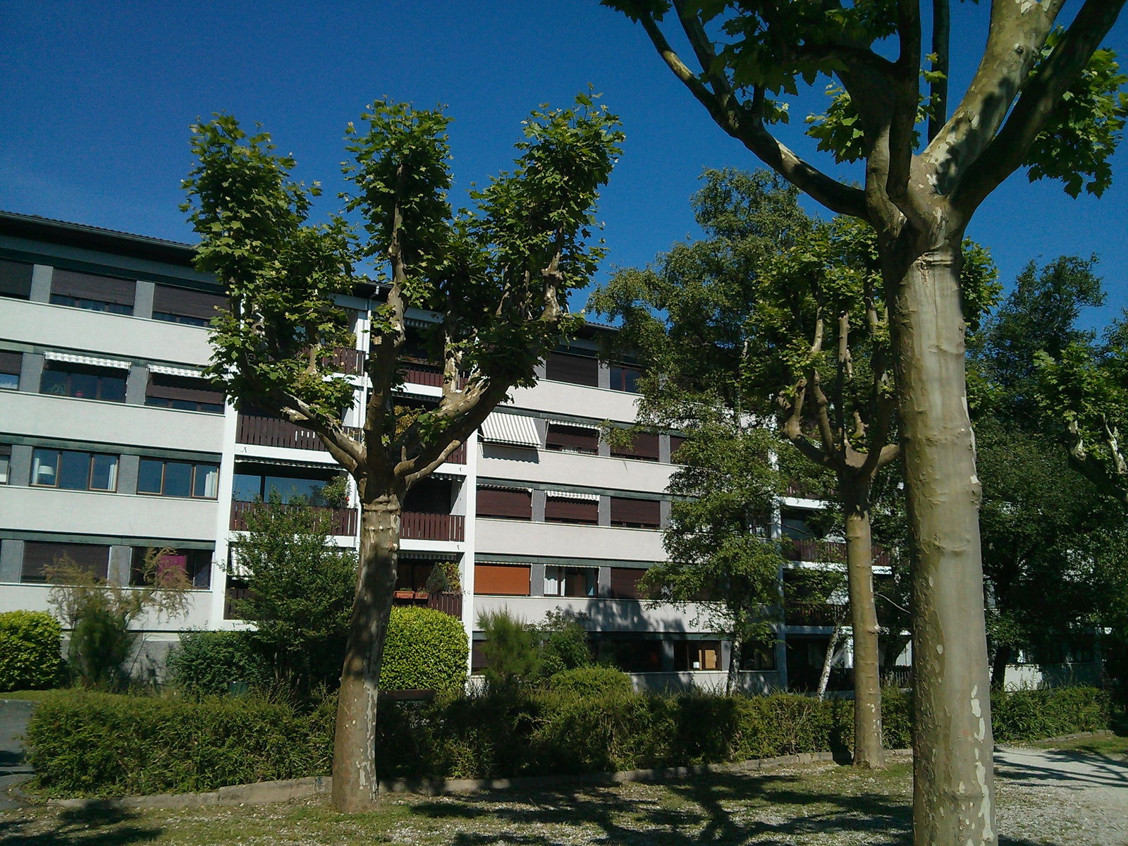 Hemvistelse La Tronche 105441