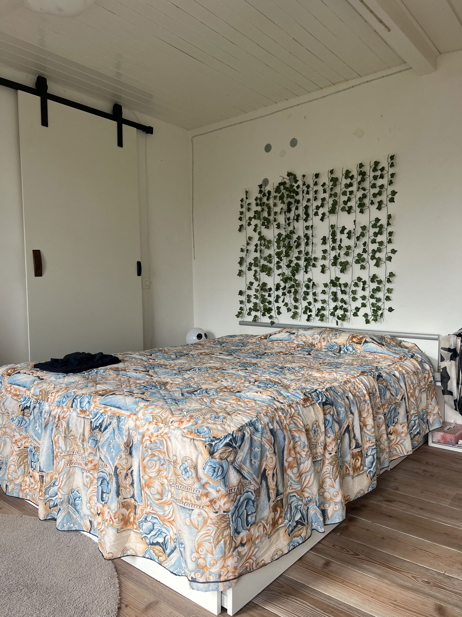 Colocation Jorat-Mézières 443123