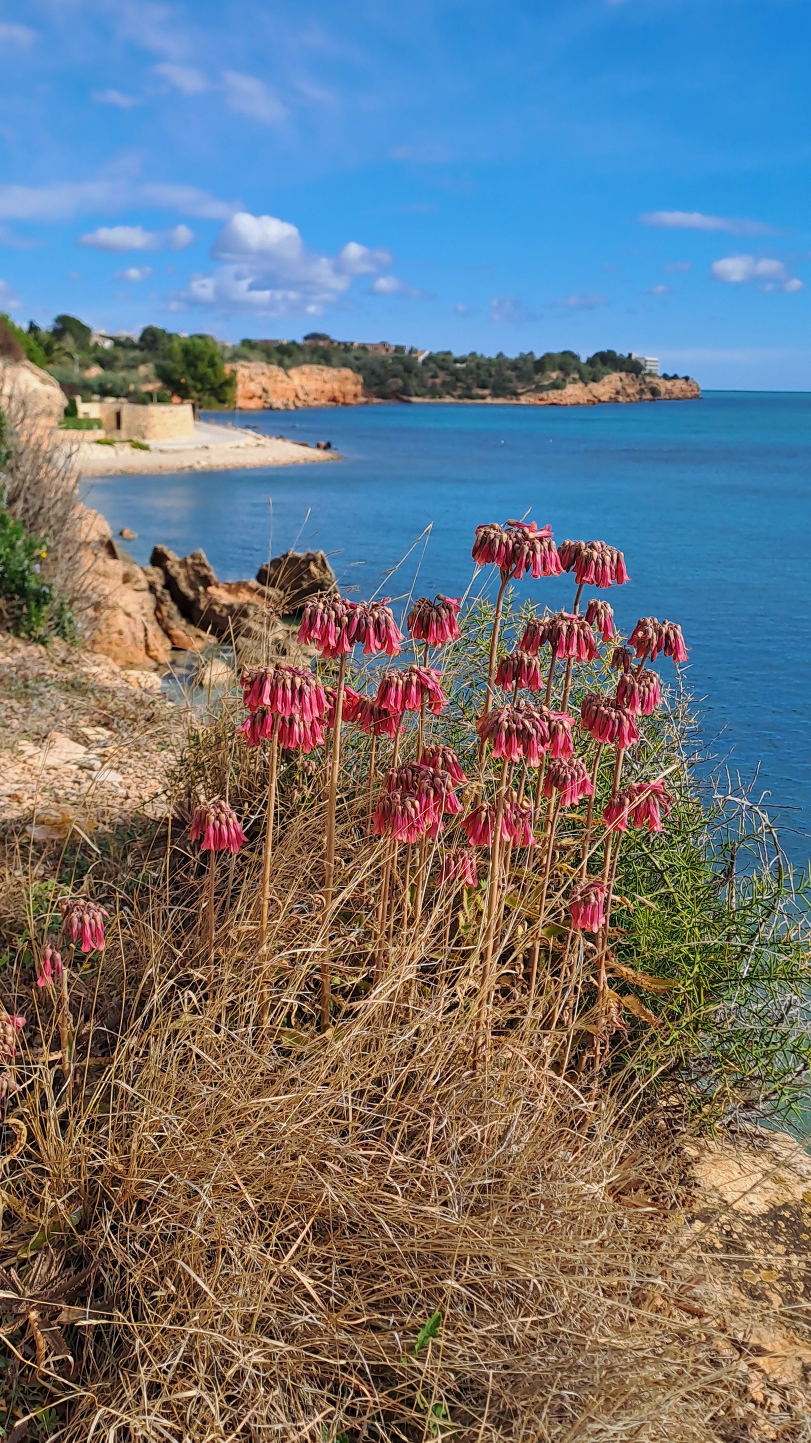 Hemvistelse Mont-roig del Camp 640785