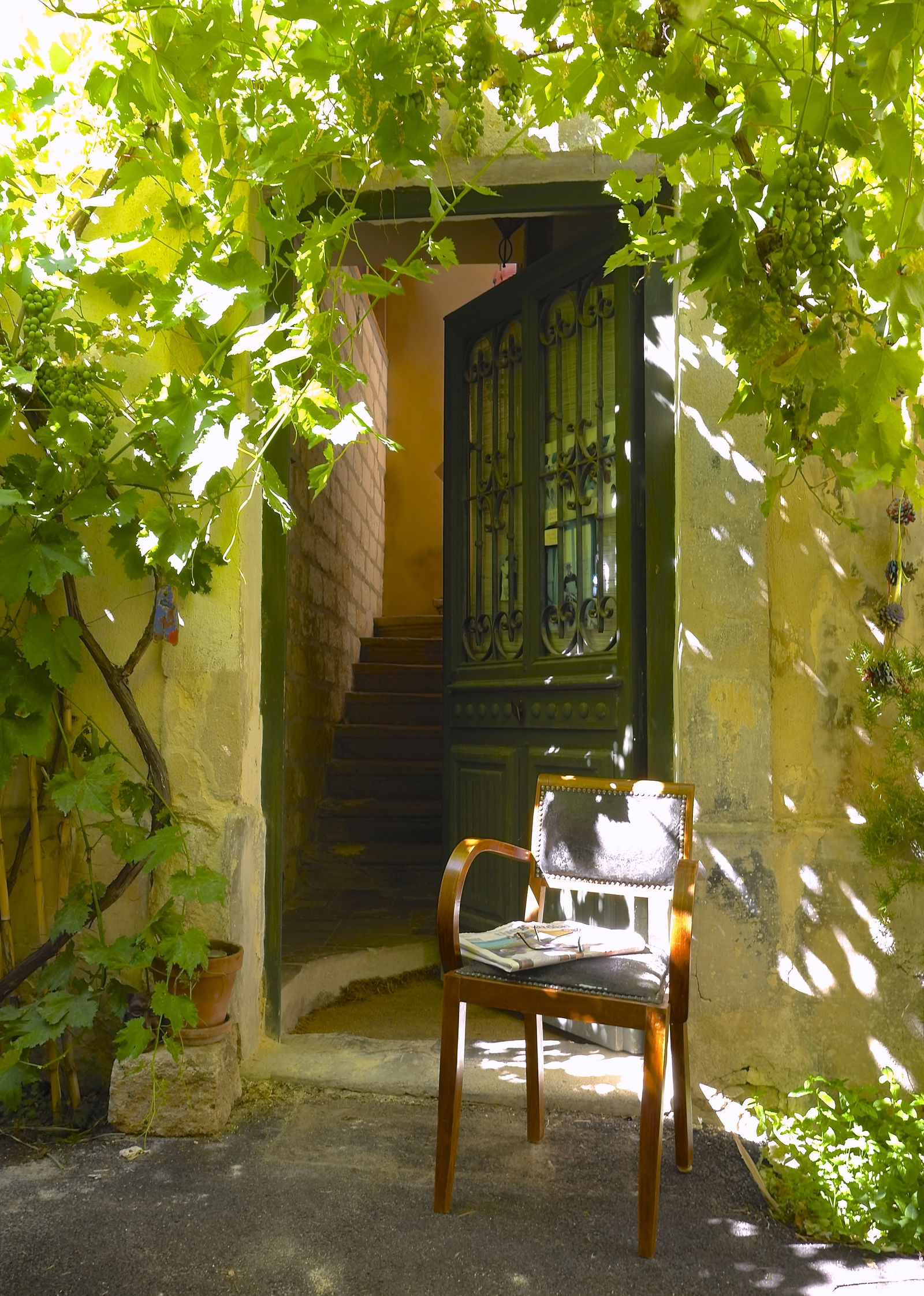 Gästrum Montpellier 79784