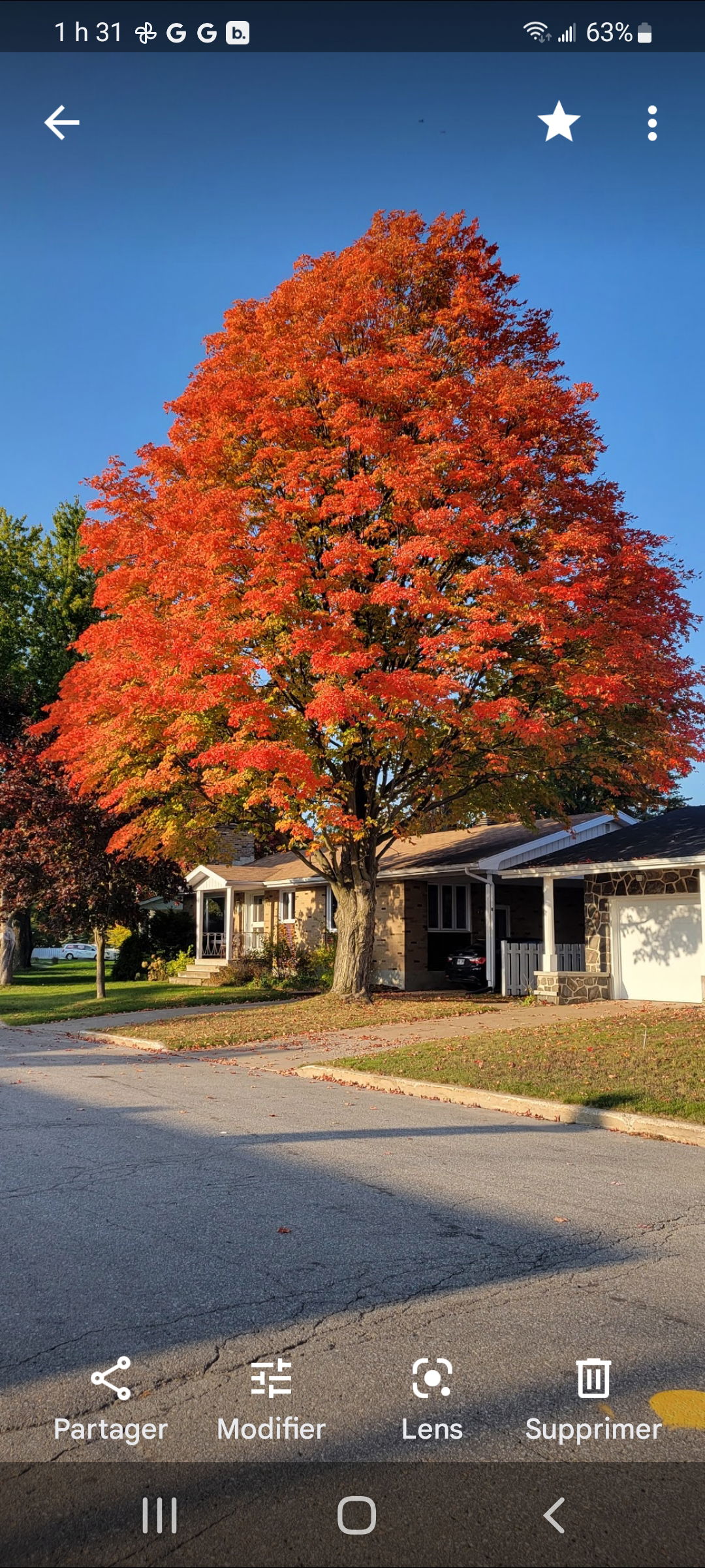 Hemvistelse Trois-Rivières 258639