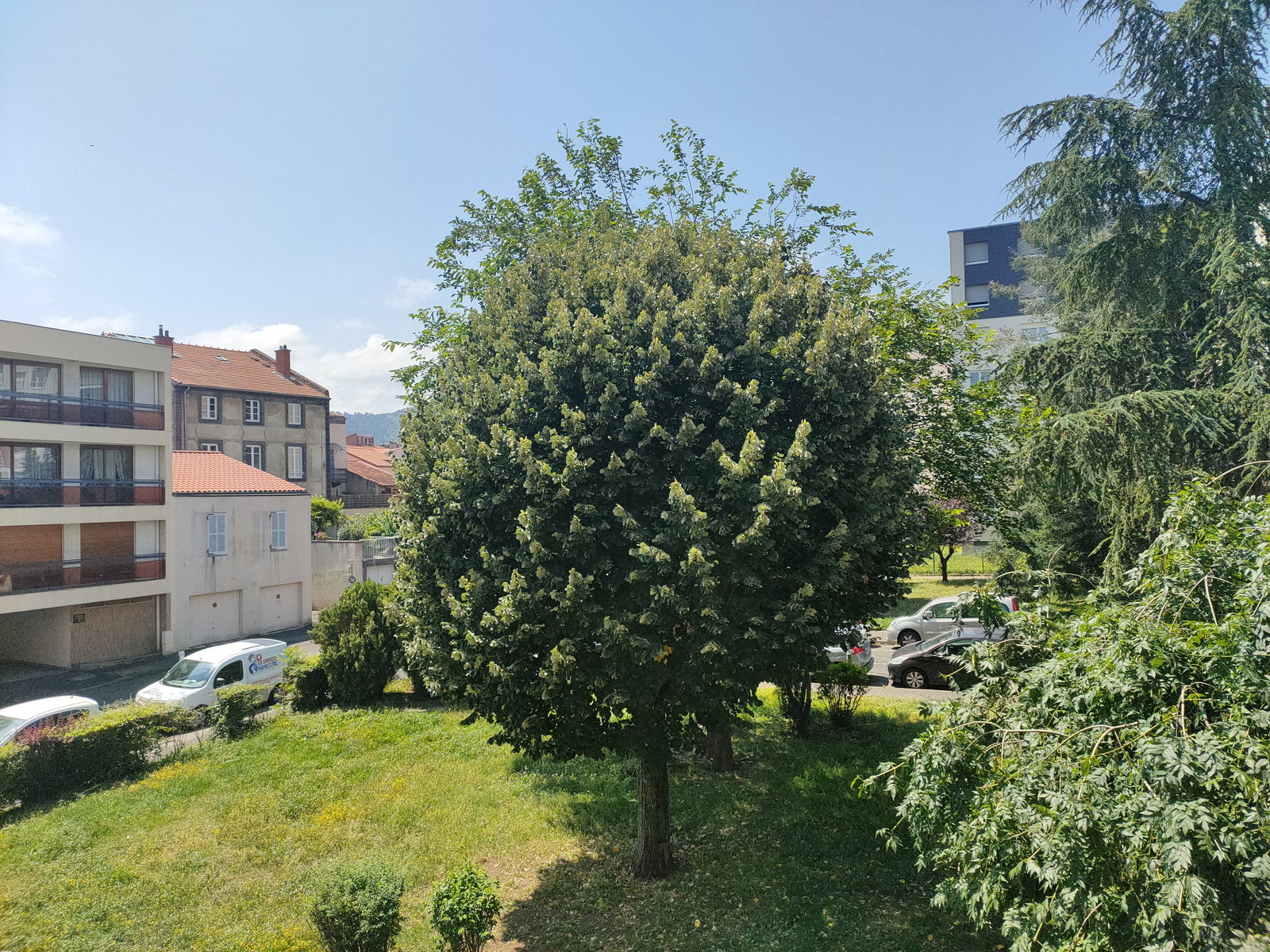 Colocation Beaumont 654981