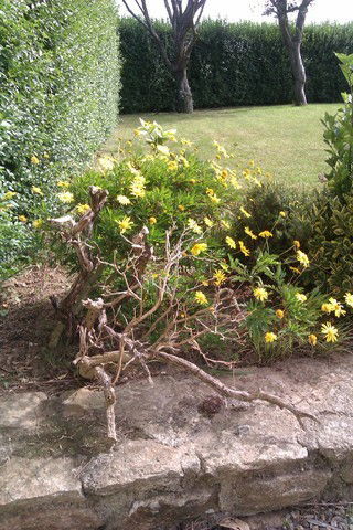 Hemvistelse Saint-Frégant 51507