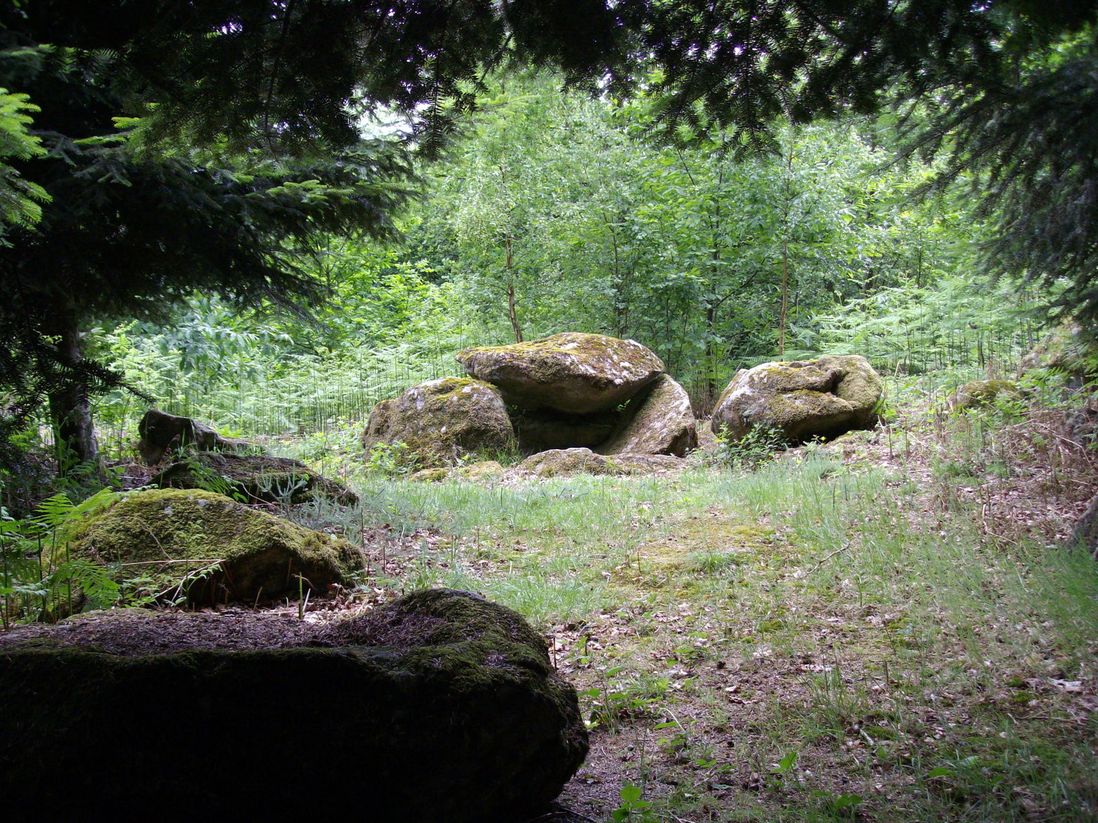 Gästrum Saint-Bômer-les-Forges 94747