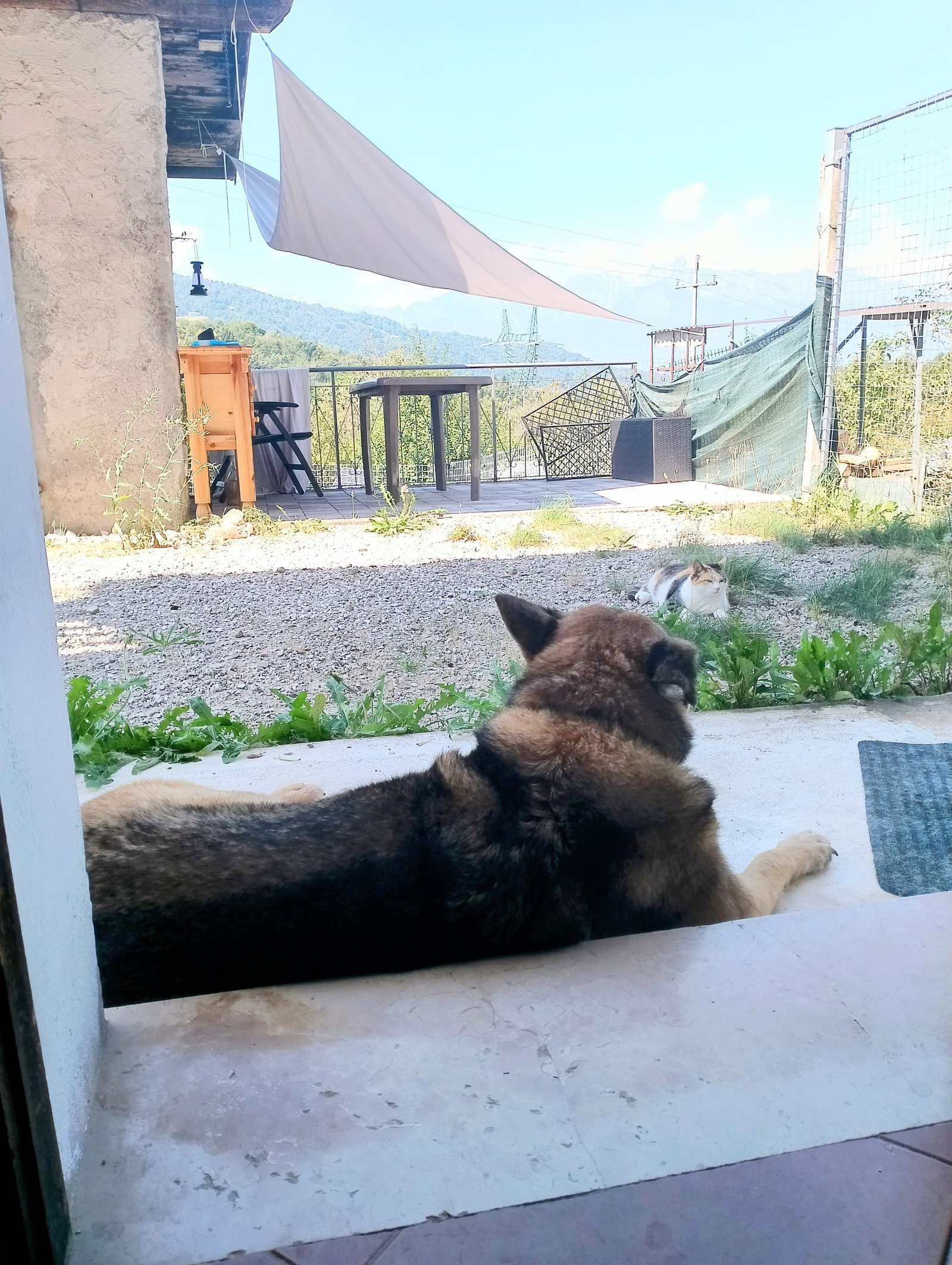 Gästrum Campedei 428197