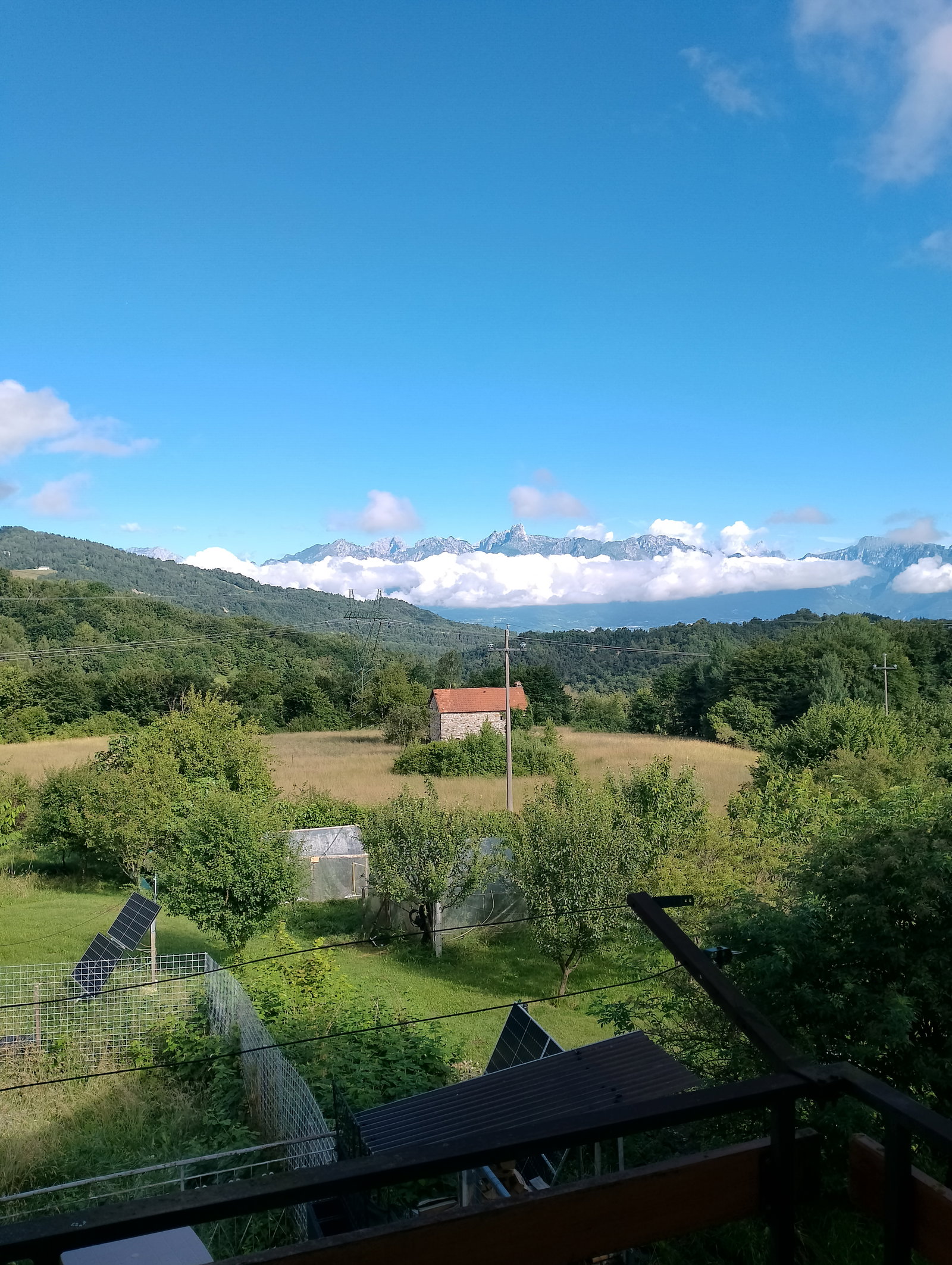 Gästrum Campedei 428197