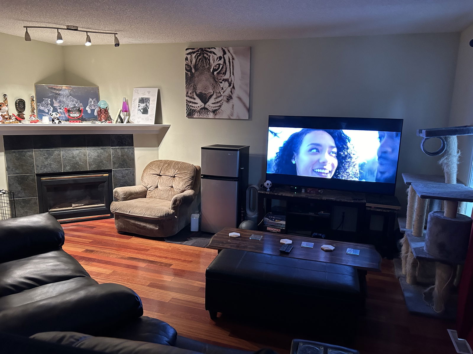 Coliving Calgary 438934