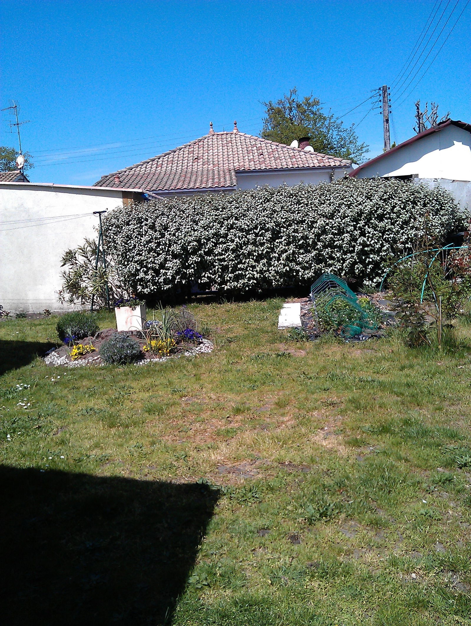 Hemvistelse Andernos-les-Bains 56964