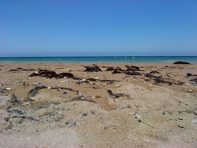 Gästrum Ouistreham 6977