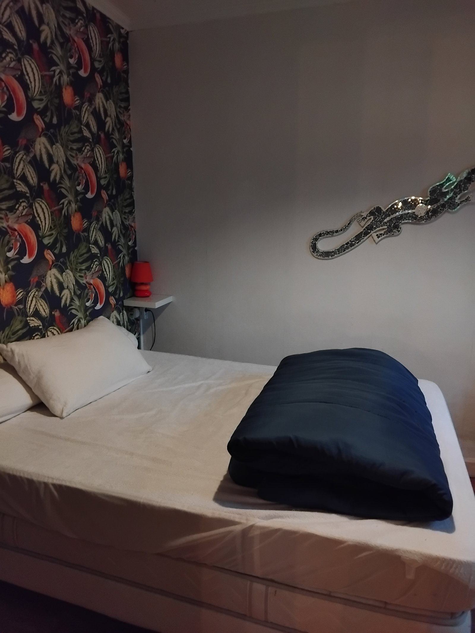 Hemvistelse Saint-Céré 478901