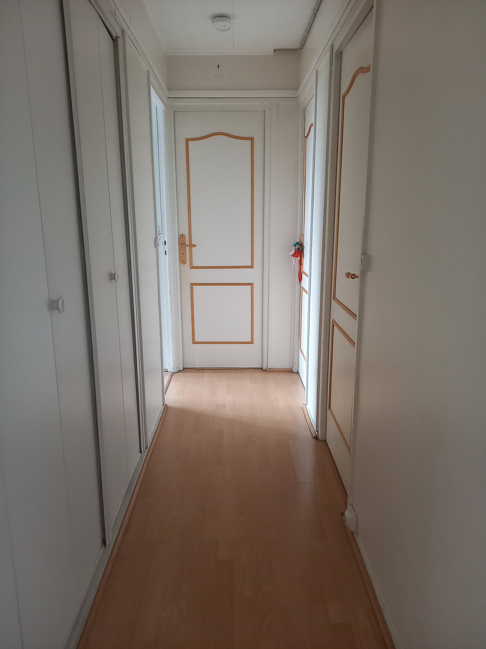 Colocation Villejuif 253485