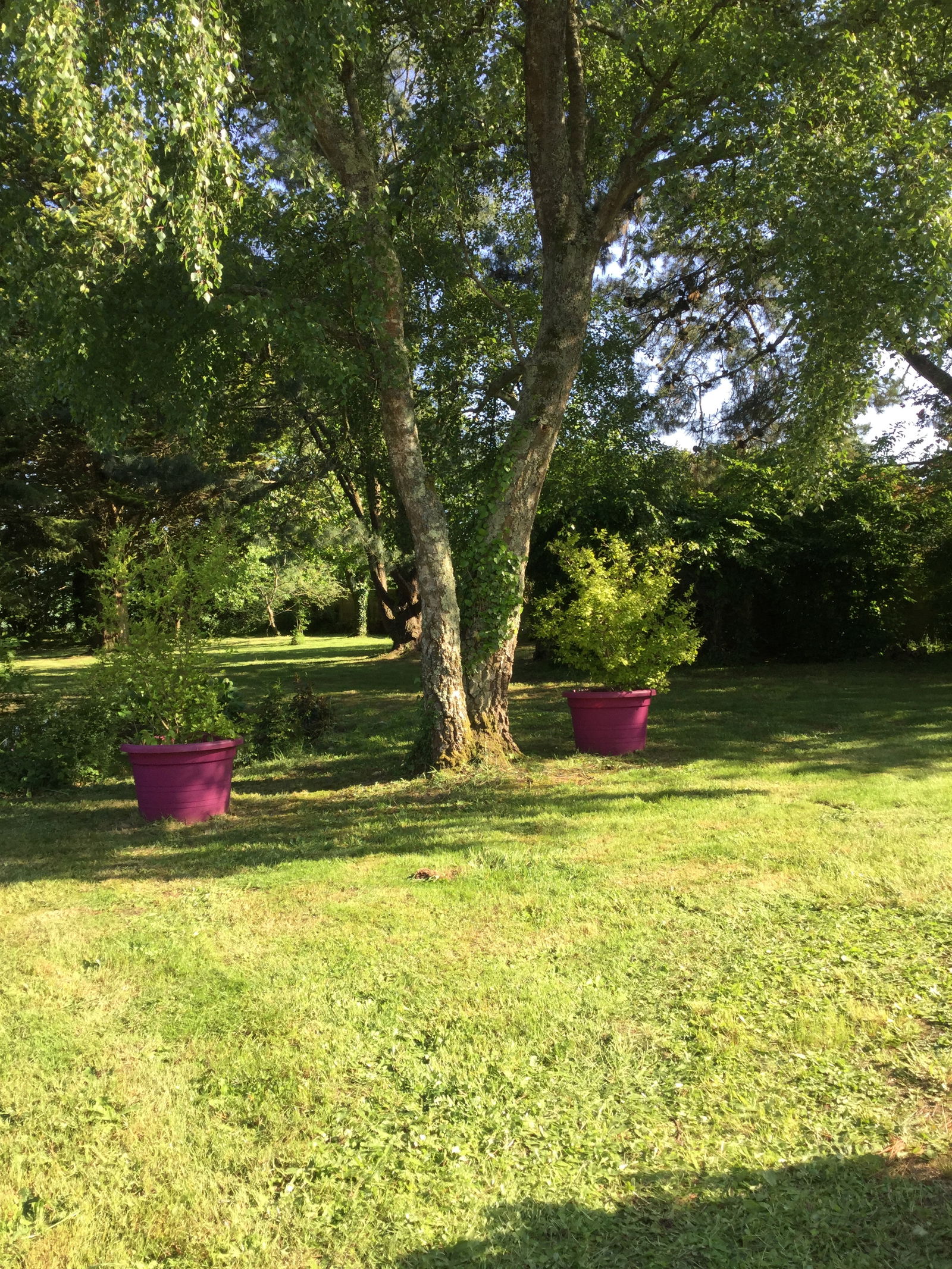 Hemvistelse Quimperlé 233571