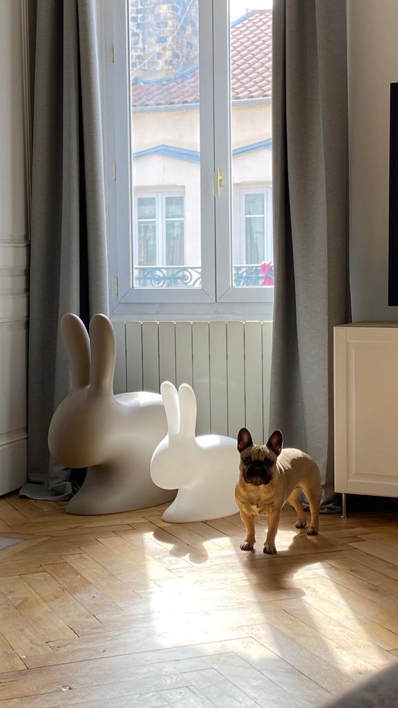 Homestay Lyon 667139