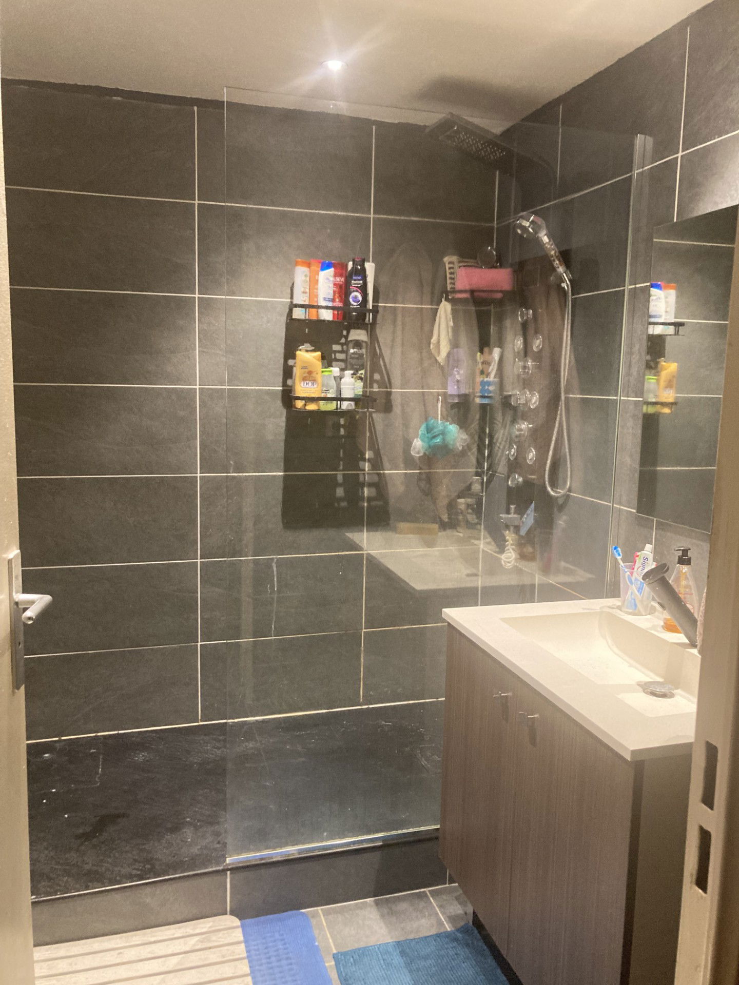 Hemvistelse Toulouse 606551