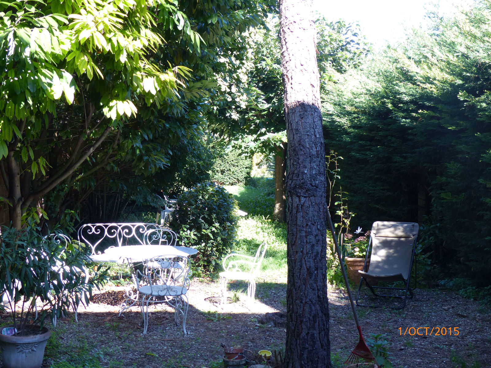 Hemvistelse Nogent-sur-Marne 115204