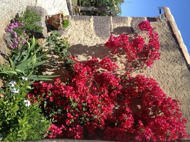 Hemvistelse Agde 136760