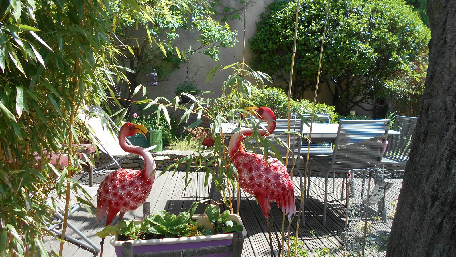 Gästrum Donzère 108311