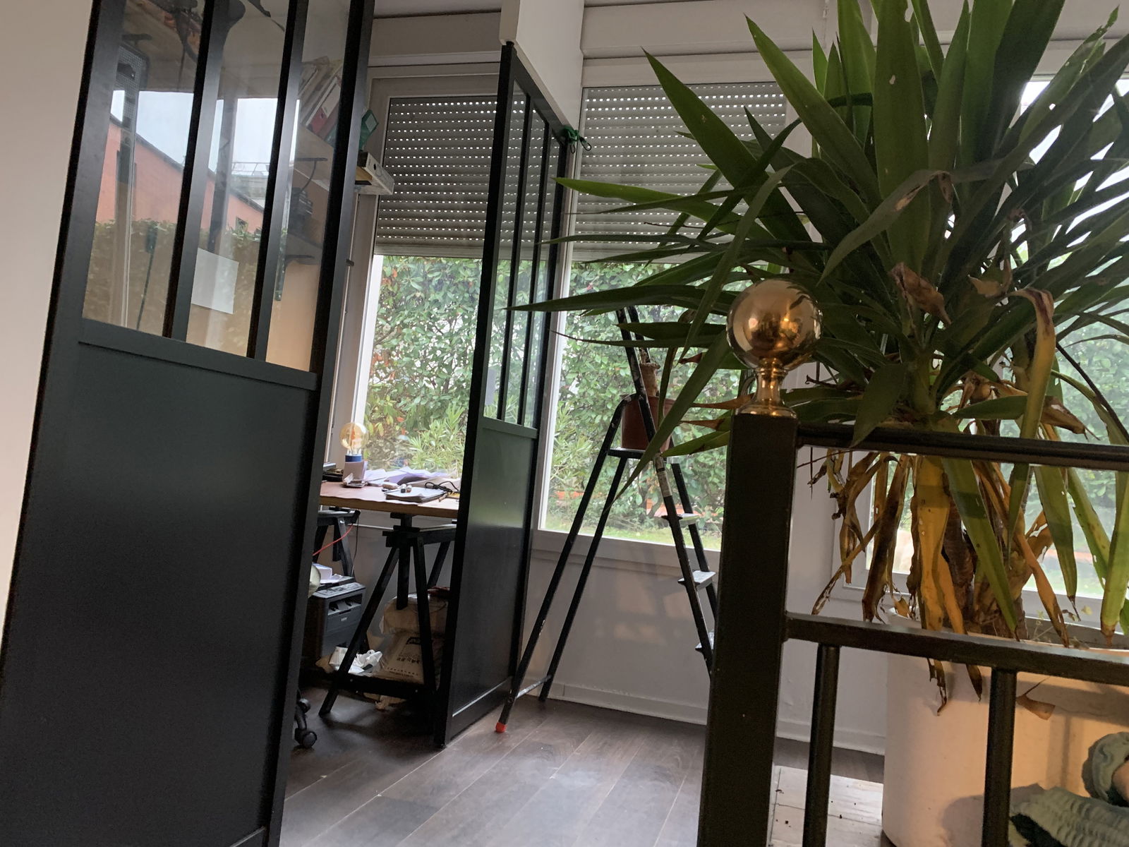 Colocation Vanves 478537