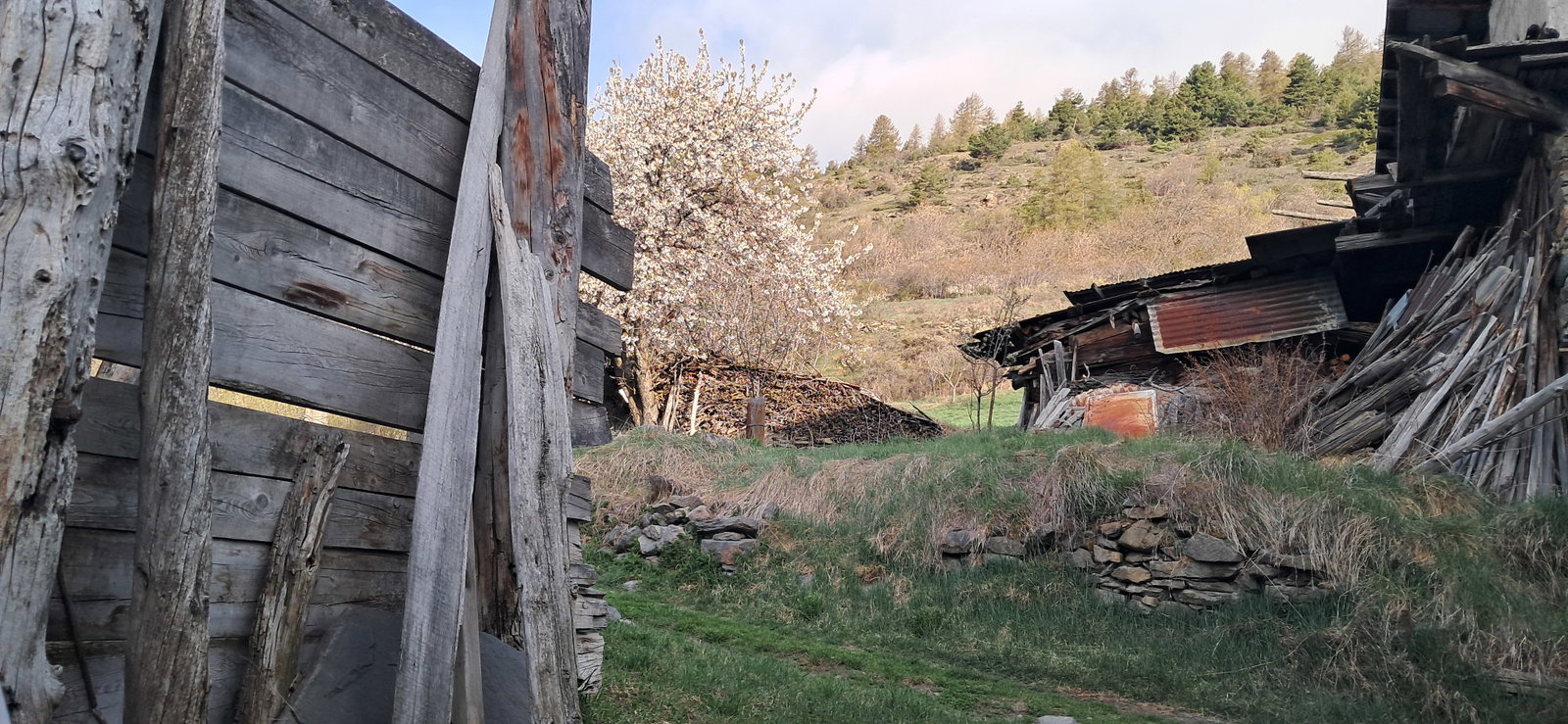 Coliving Puy-Saint-Pierre 470689