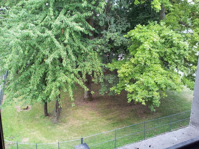 Colocation Lognes 54486